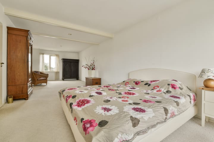 Photo 21 of Zwanenburgerdijk 429