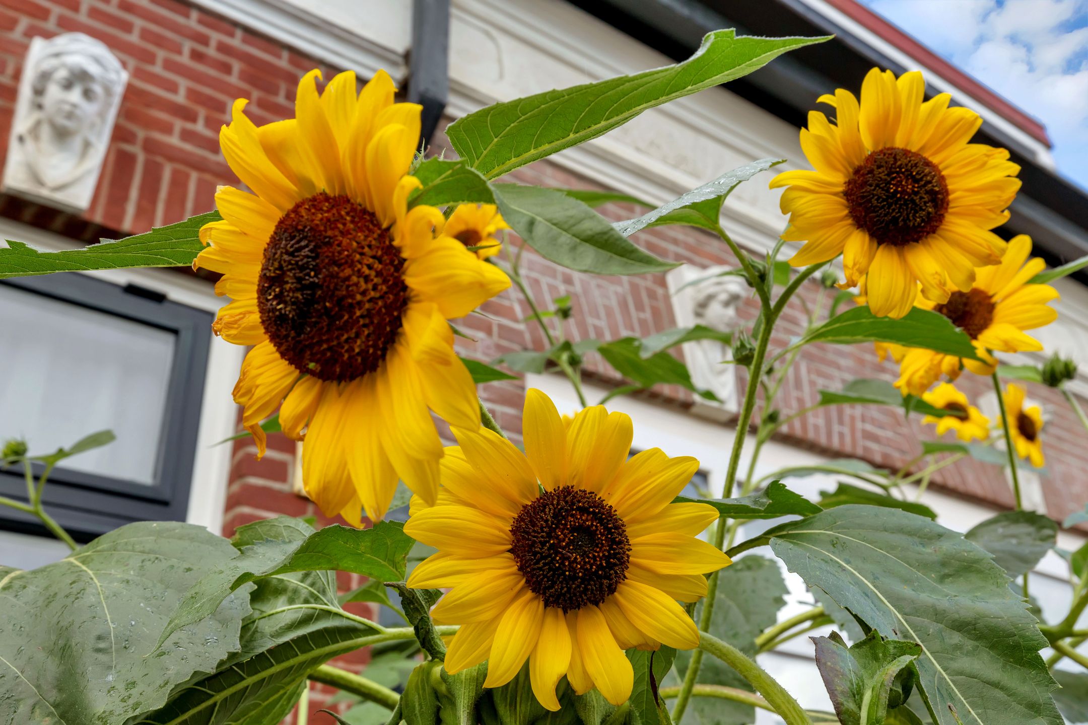 Foto 30 van Villastraat 74