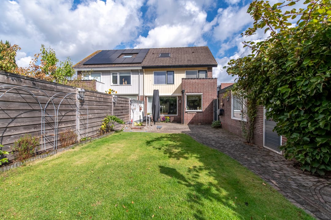 Foto 2 van Blauwgras 4