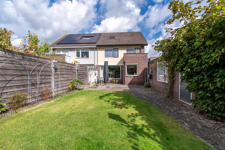 Foto 2 van Blauwgras 4