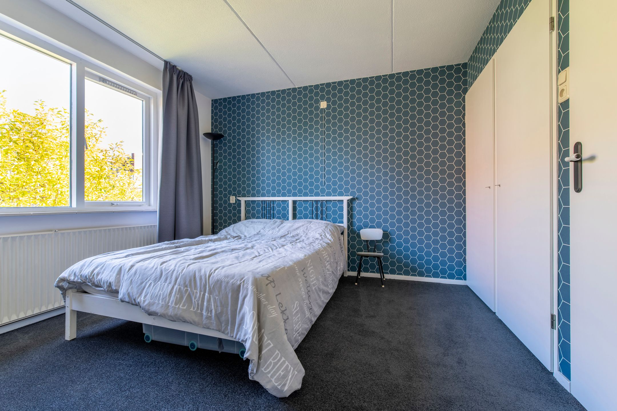 Foto 15 van Blauwgras 4