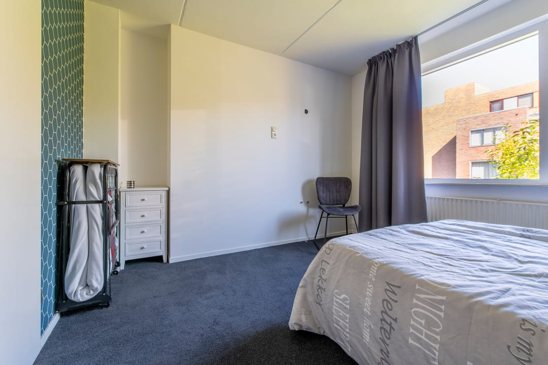 Foto 16 van Blauwgras 4