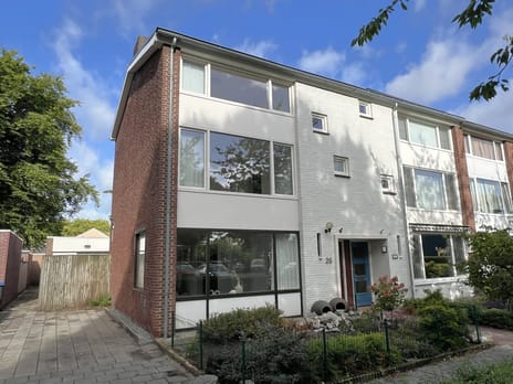 undefined main image