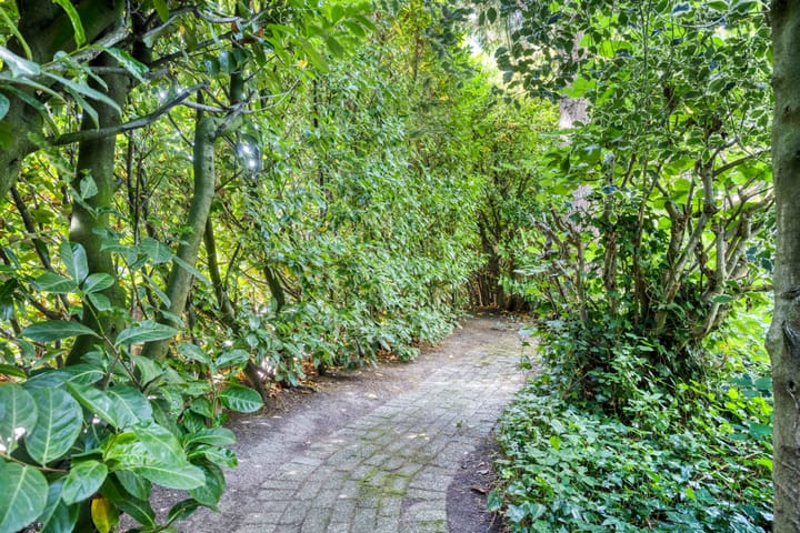 Foto 71 van Joost van den Vondelstraat 1