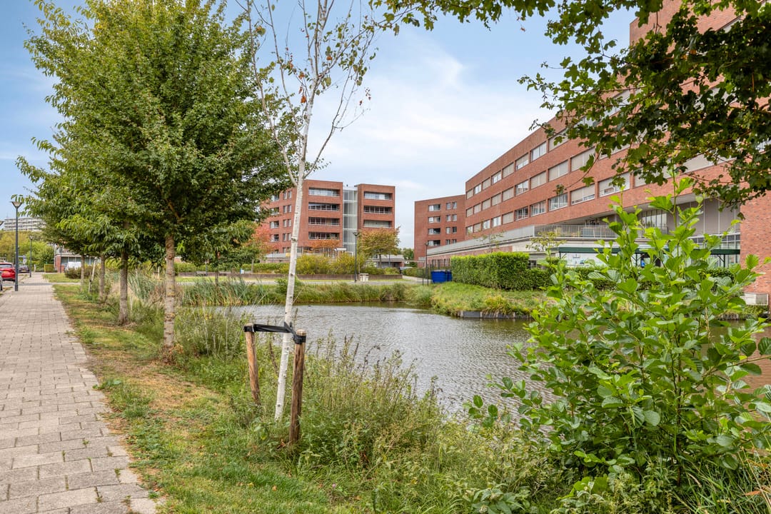 Photo 28 of Nieuwe Laan 25