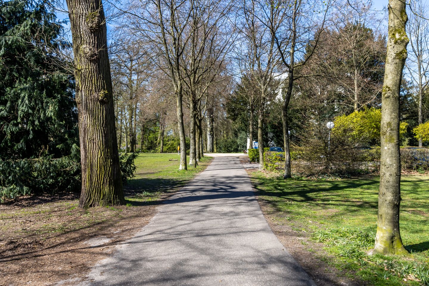 Bekijk foto 4 van Utrechtseweg 82