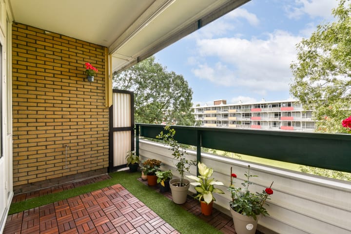 Foto 10 van Vesuvius 24