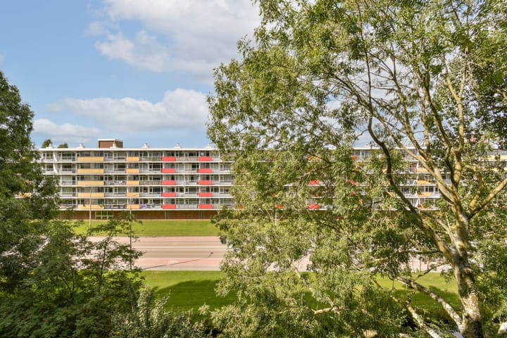 Foto 11 van Vesuvius 24