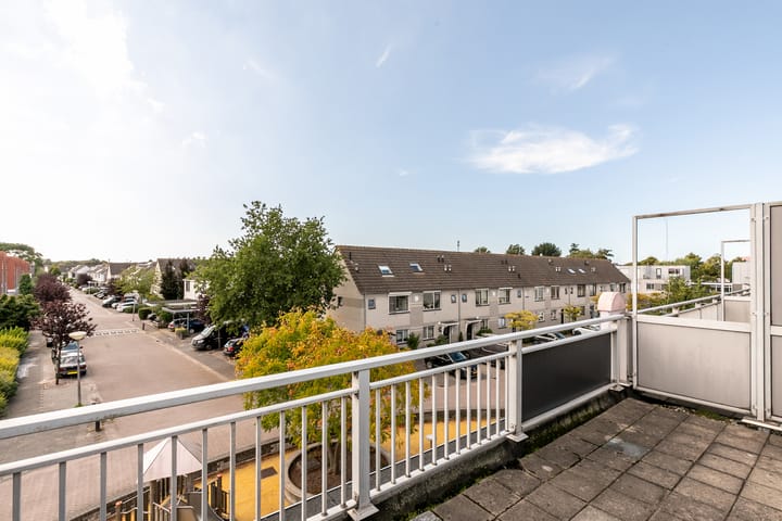 Foto 25 van Waterdrieblad 25