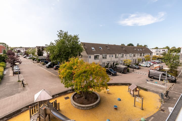 Foto 27 van Waterdrieblad 25