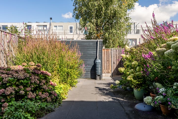 Foto 31 van Waterdrieblad 25