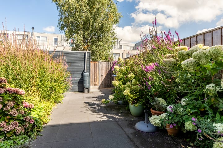 Foto 32 van Waterdrieblad 25