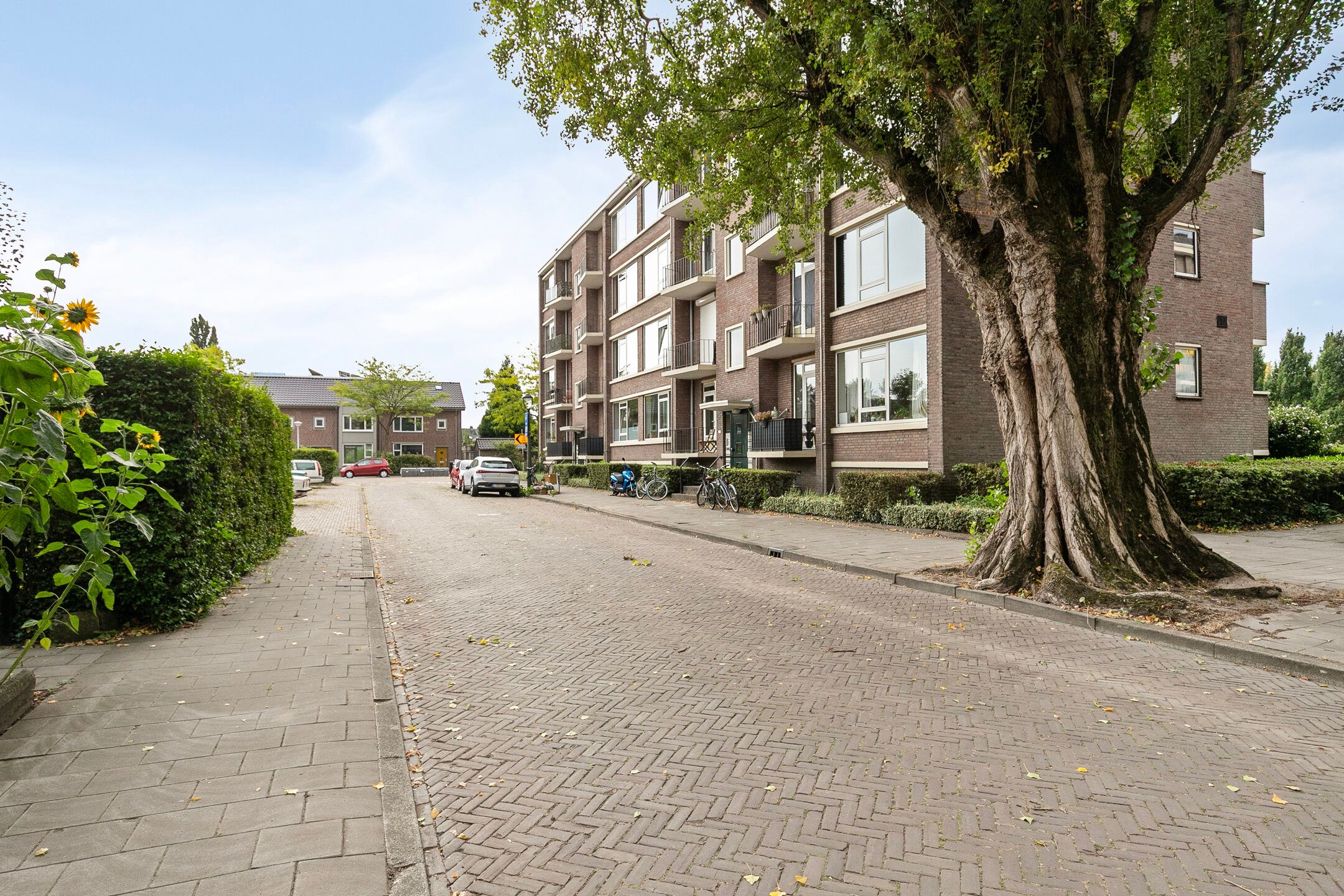 Foto 36 van Isabellastraat 26