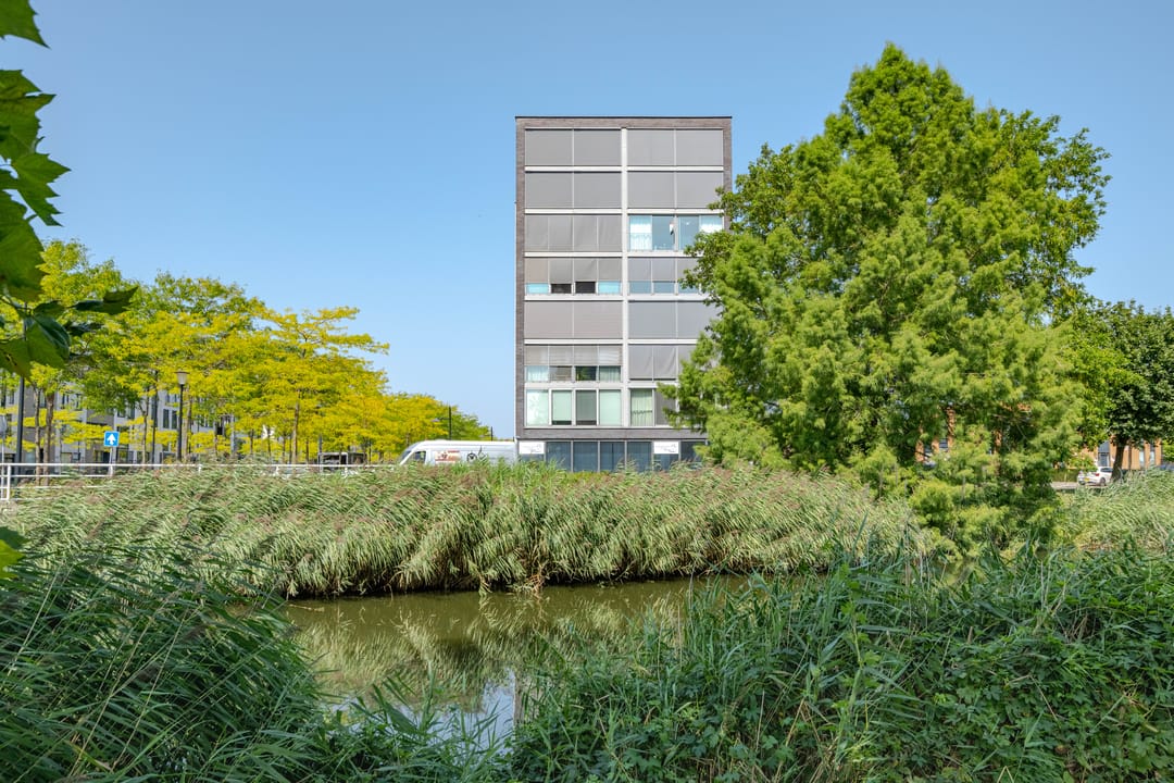 Foto 26 van Avenue Carnisse 163