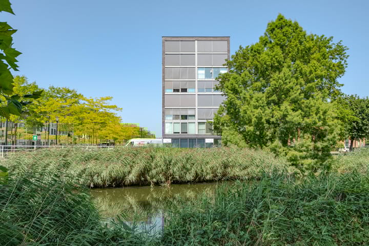 Foto 26 van Avenue Carnisse 163