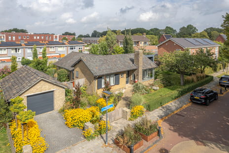 undefined main image