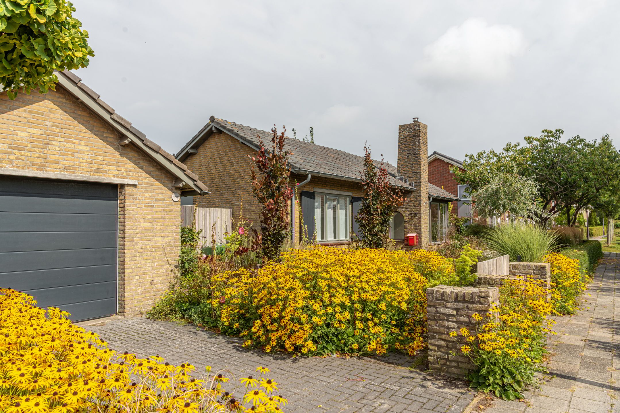 Foto 45 van Professor Ulricus Huberstraat 15