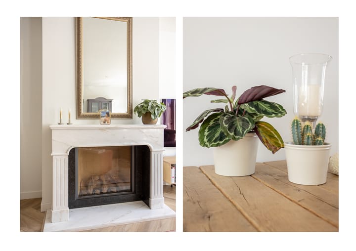 Foto 7 van Scheepswerf 1