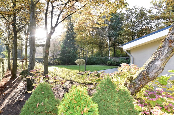 Photo 28 of Het Hazenveld 16