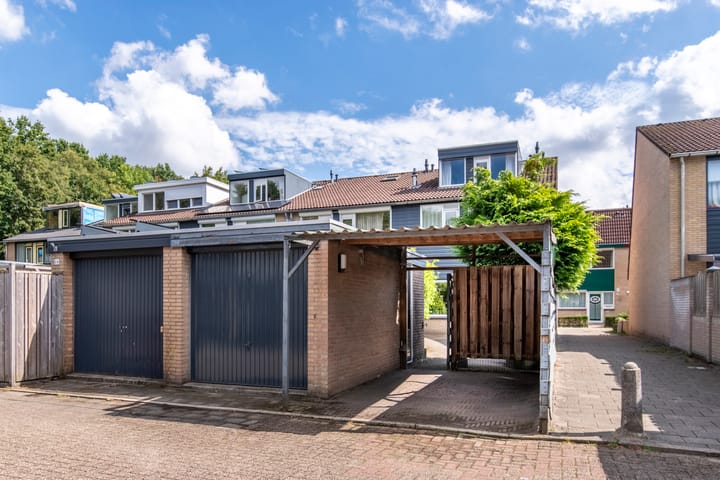 Foto 2 van Galjoen 14