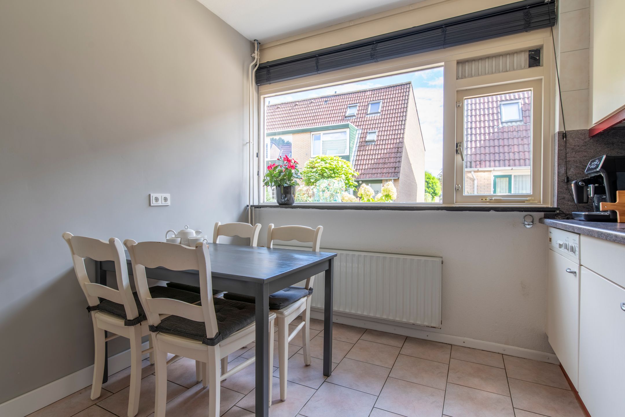 Foto 9 van Galjoen 14