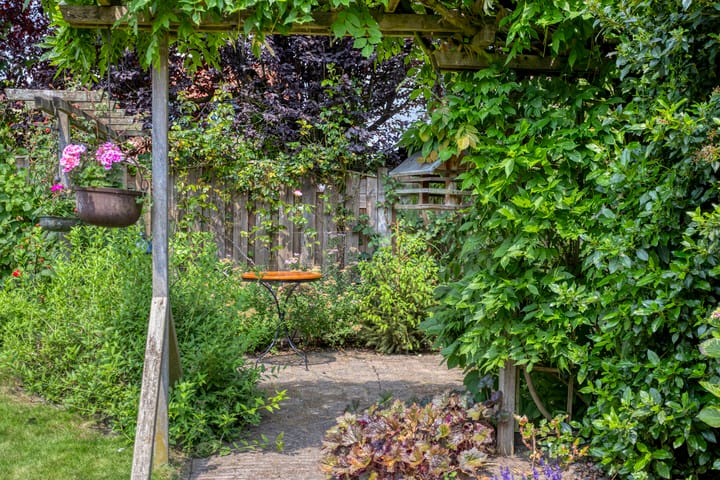 Foto 37 van Galadriel 26