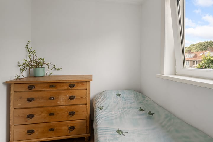 Foto 18 van Prinses Christinalaan 101