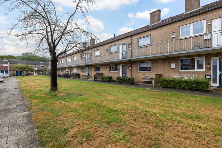 Foto 5 van Paulus Potterstraat 49