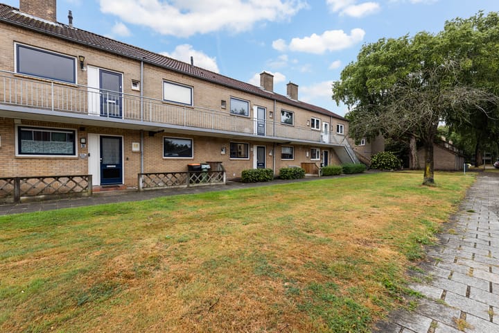 Foto 6 van Paulus Potterstraat 49