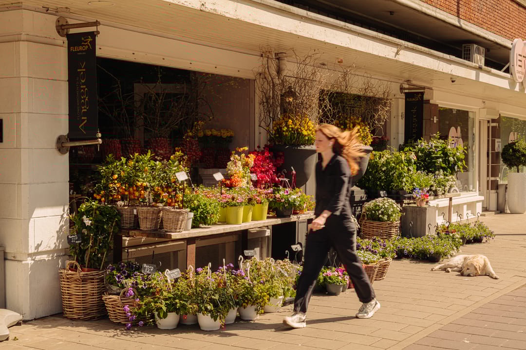 Foto 58 van Titiaanstraat 13