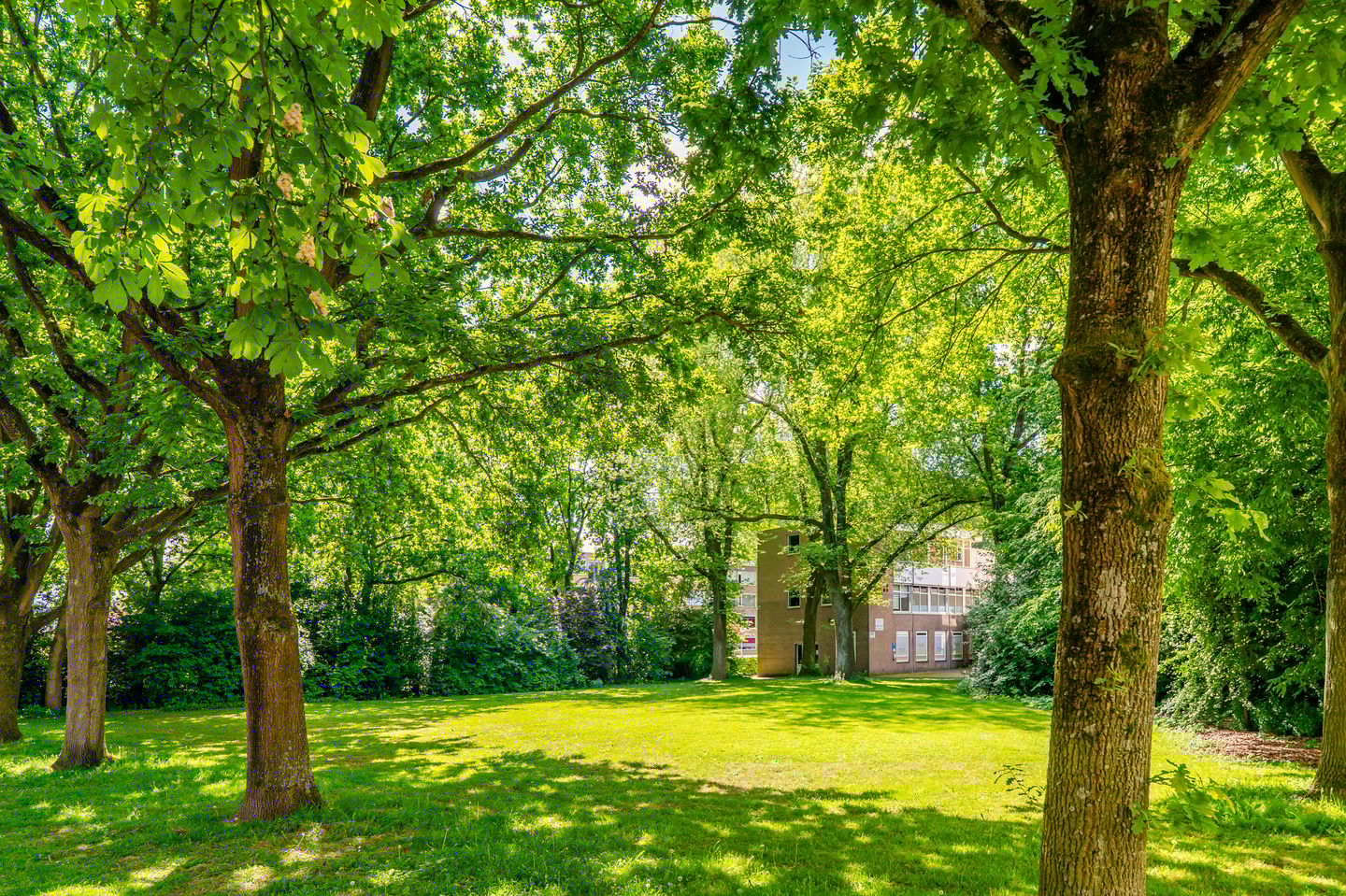 Foto 4 van Populierenlaan 447