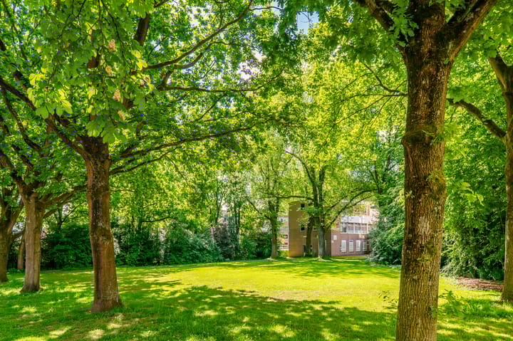 Foto 4 van Populierenlaan 447