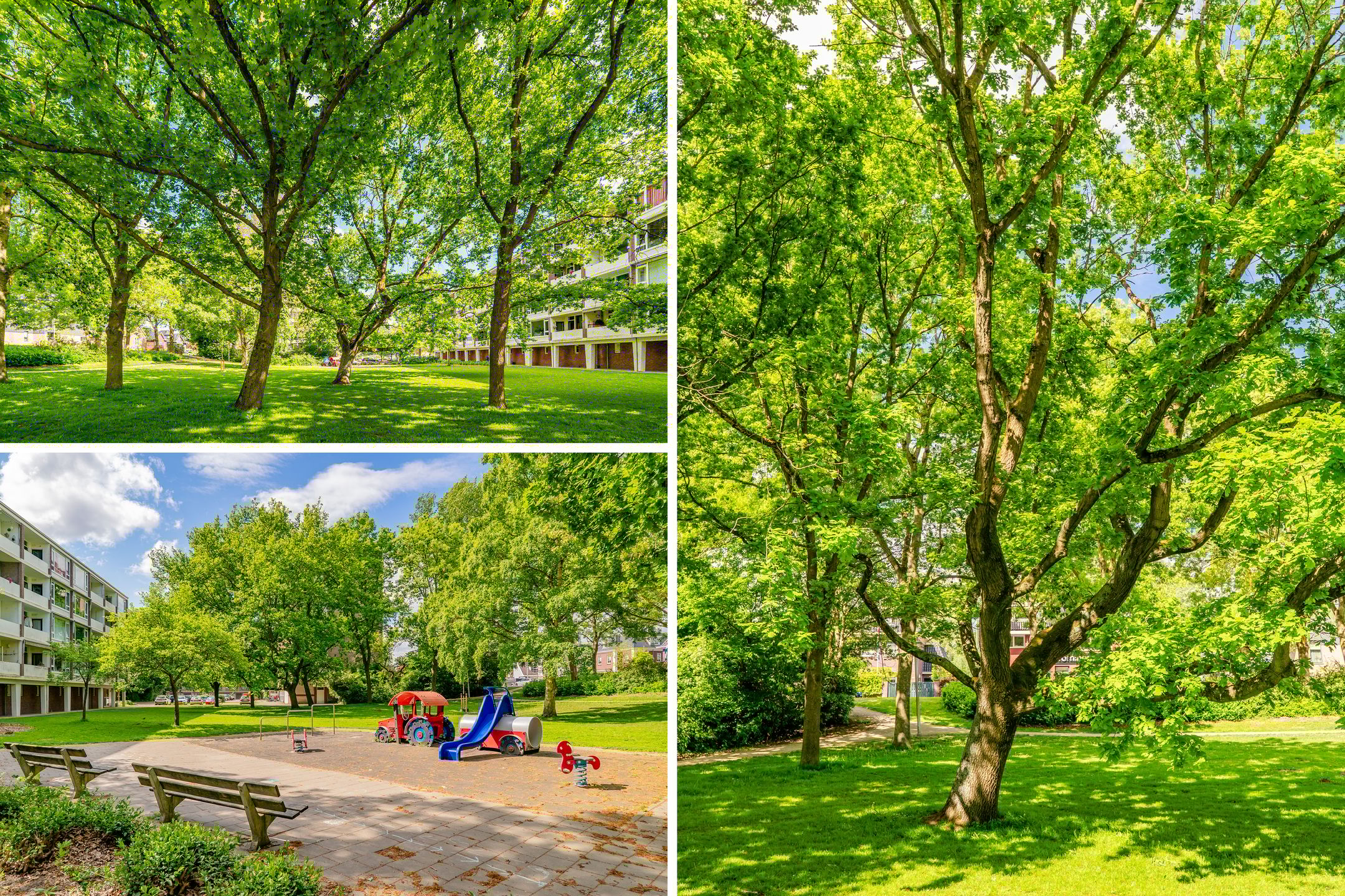 Foto 27 van Populierenlaan 447