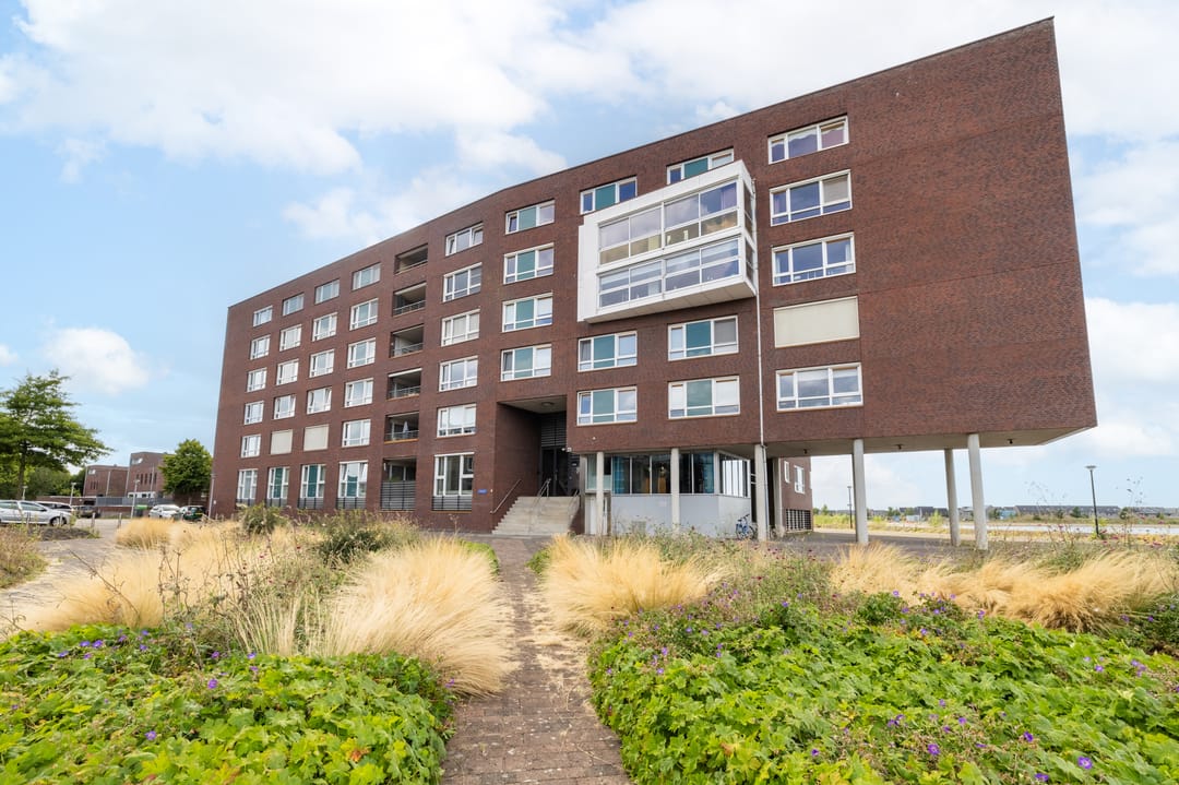 Foto 1 van Puntkroos 73