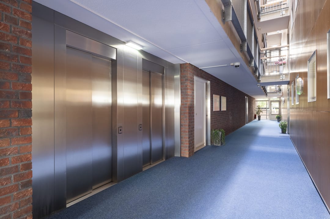 Foto 8 van Puntkroos 73