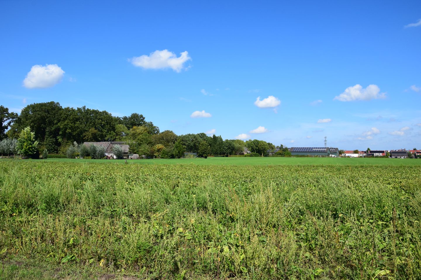 Foto 4 van Broekstraat kavel 1