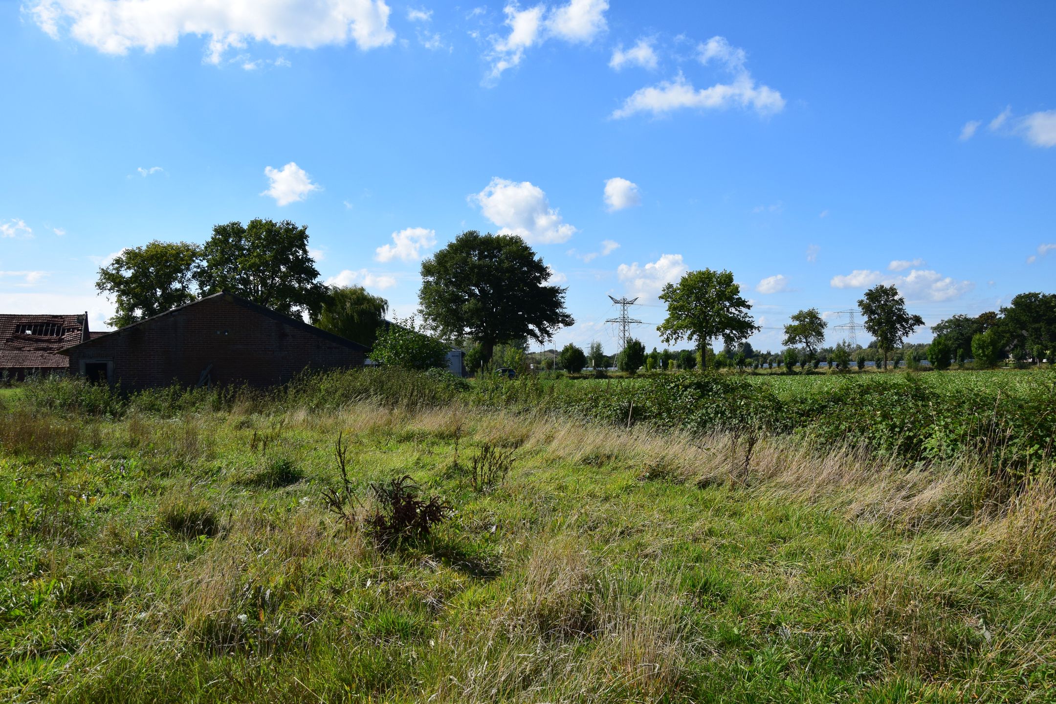 Foto 9 van Broekstraat kavel 1