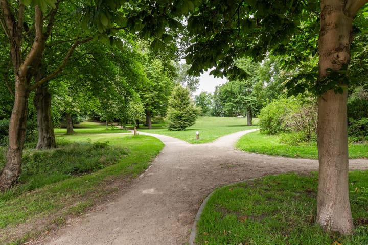 Foto 36 van Santpoorterstraat 49