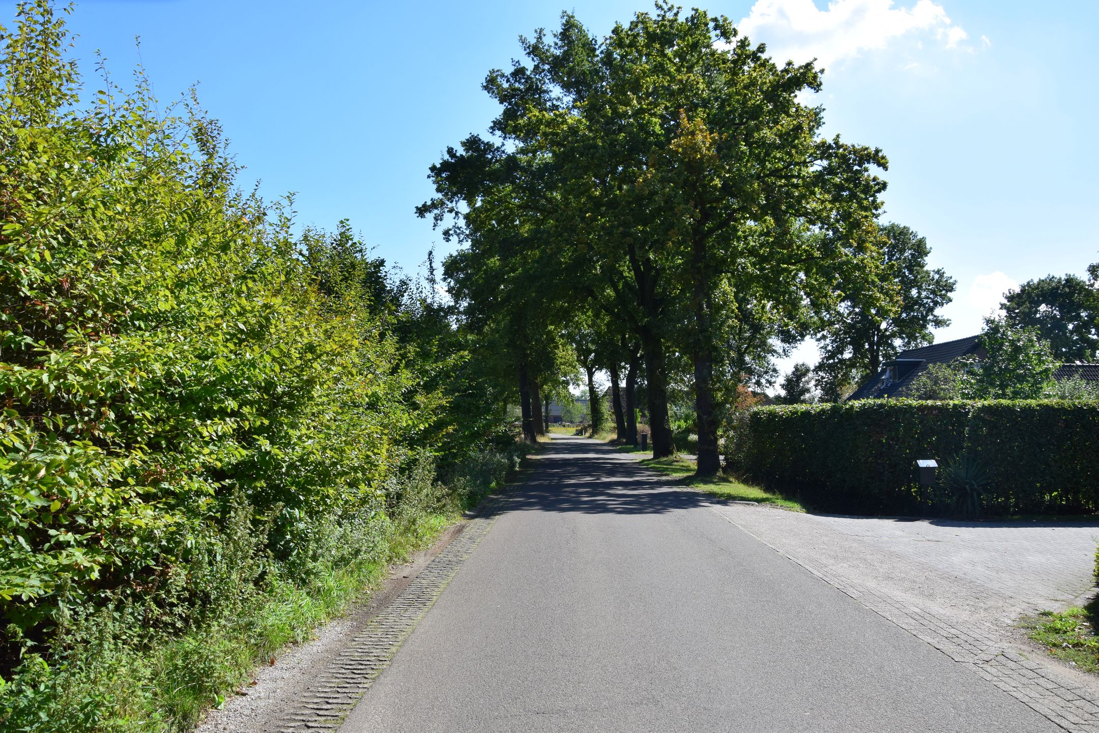 Photo 6 of Broekstraat kavel 3