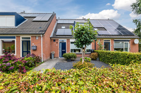 undefined main image