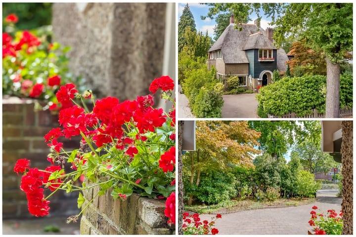 Foto 2 van Soestdijkseweg Zuid 235