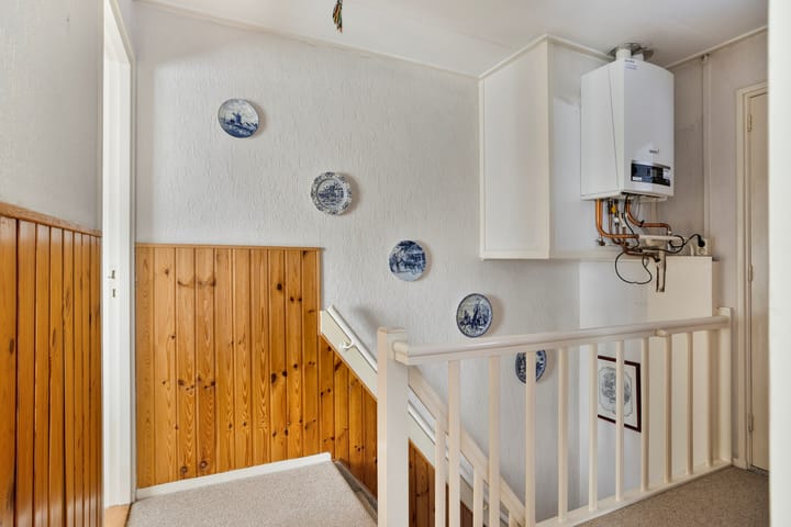 Foto 12 van Langeviele 10