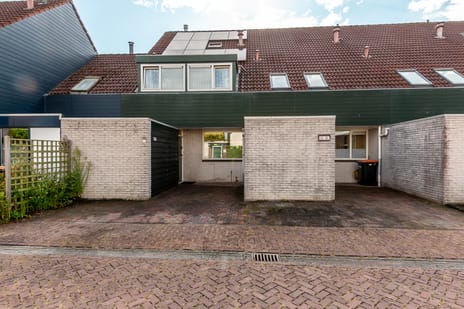 undefined main image