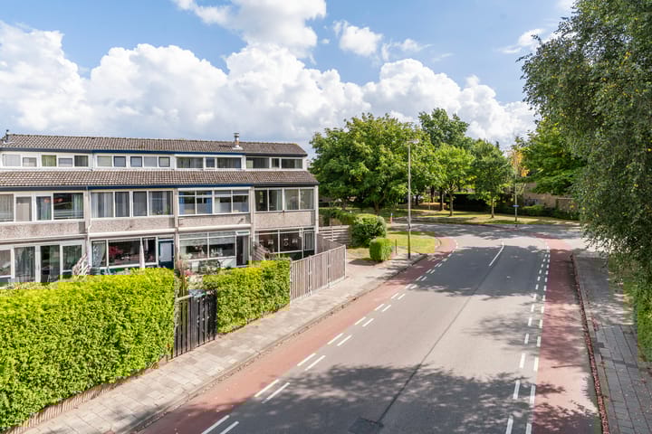 Foto 7 van Kamgras 33