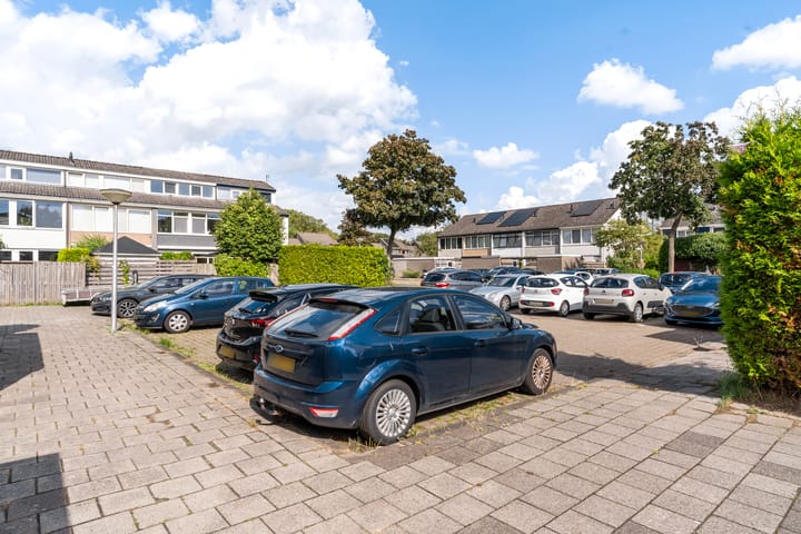 Foto 45 van Kamgras 33