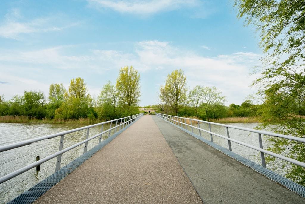 Foto 48 van Lisdoddelaan 18