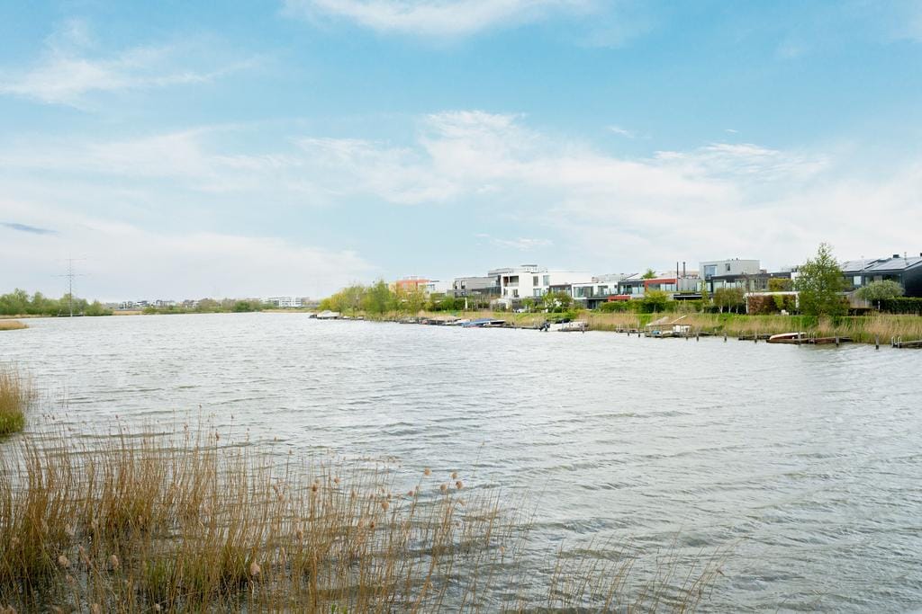 Foto 49 van Lisdoddelaan 18