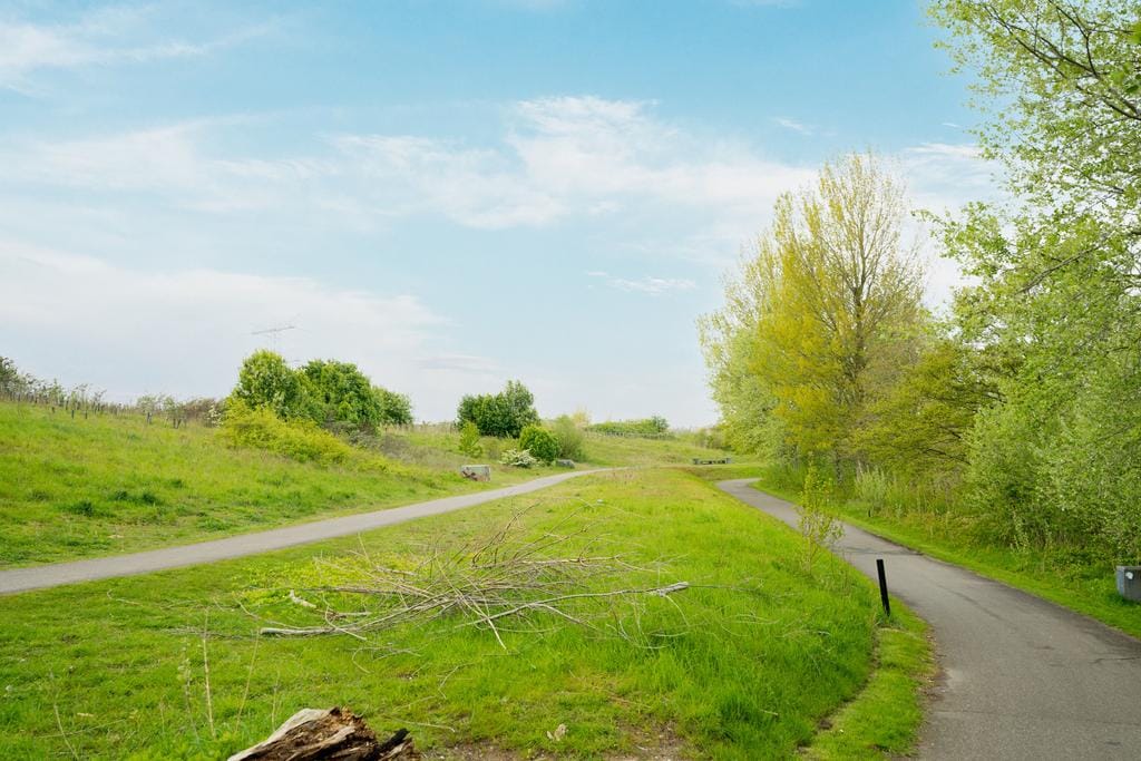 Foto 51 van Lisdoddelaan 18