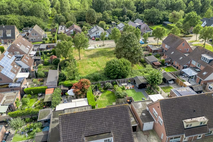 Foto 3 van De Koningsvaren 84