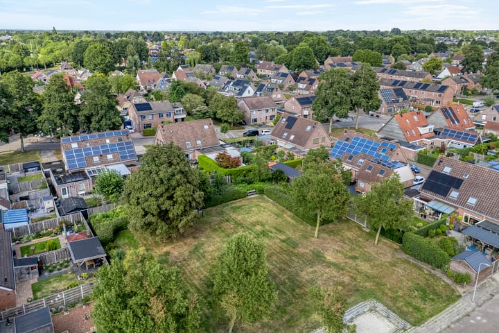 Foto 4 van De Koningsvaren 84